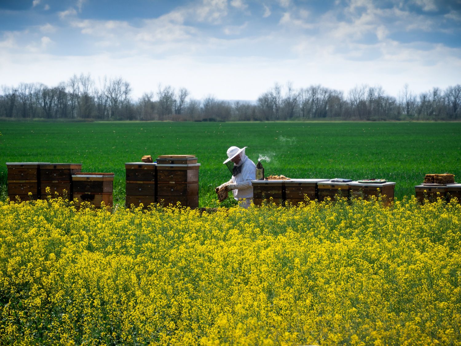 včelár zo záhoria